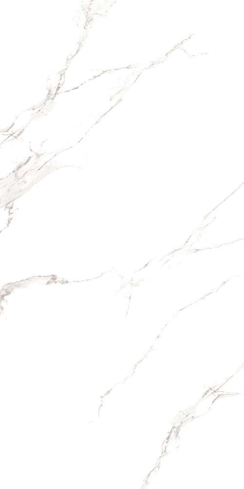 Carrara White Rustic Punch (600x1200)