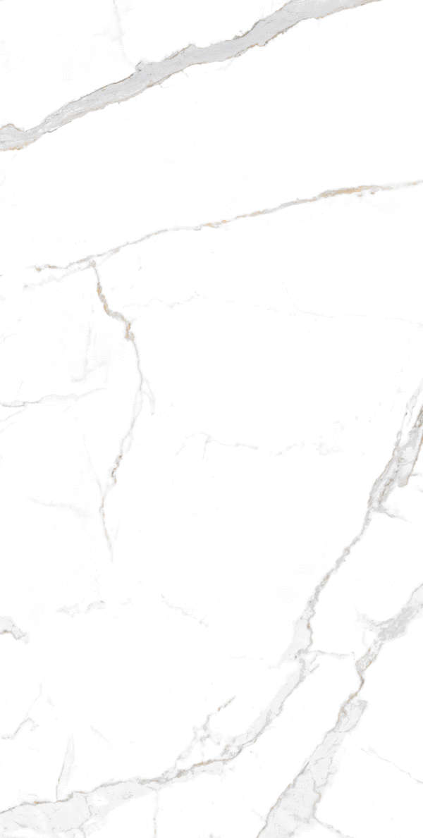 Brown 60x120 (600x1200)