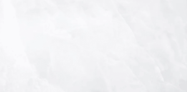 Монополь Onix White Pulido 59x119