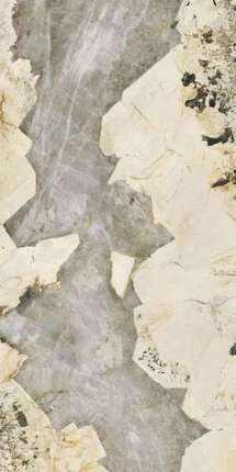 Морерум Patagonia Quartzite Polished 2