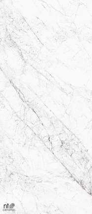 НТ Керамик Atlas Home (Индия) Carrara Elite Матовый Карвинг 120x280