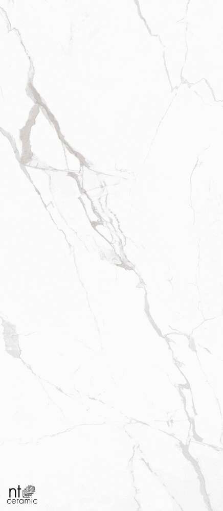 Marble White Полированный 120x280 (1200x2800)