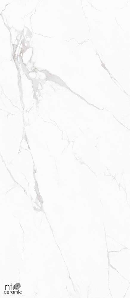 Marble White Полированный 120x280 (1200x2800)