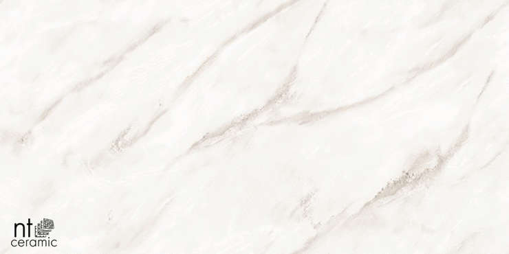 НТ Керамик Marmo Empire Pearl Endless Glossy 60x120