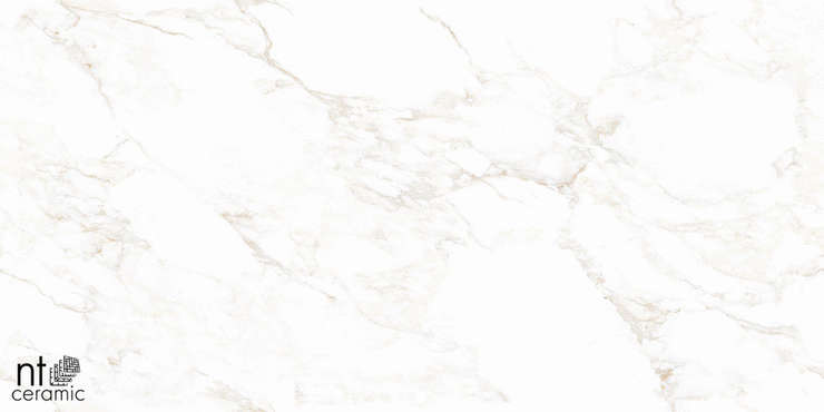 НТ Керамик Marmo Marble Extra Endless Mat 60x120