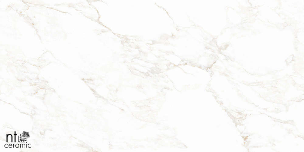 Marble Extra Endless Mat 60x120 (1200x600)