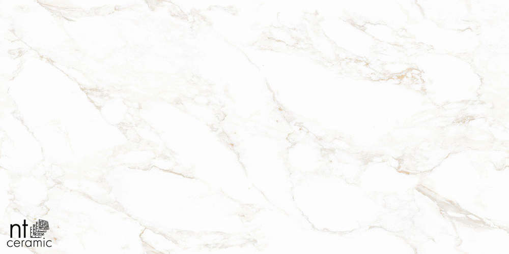 Marble Extra Endless Mat 60x120 (1200x600)