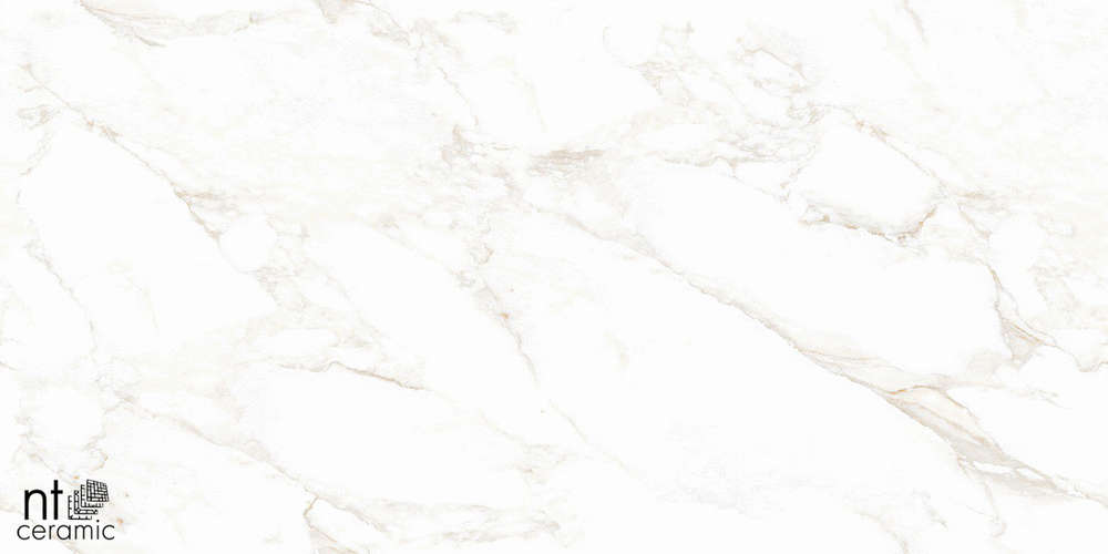 Marble Extra Endless Mat 60x120 (1200x600)