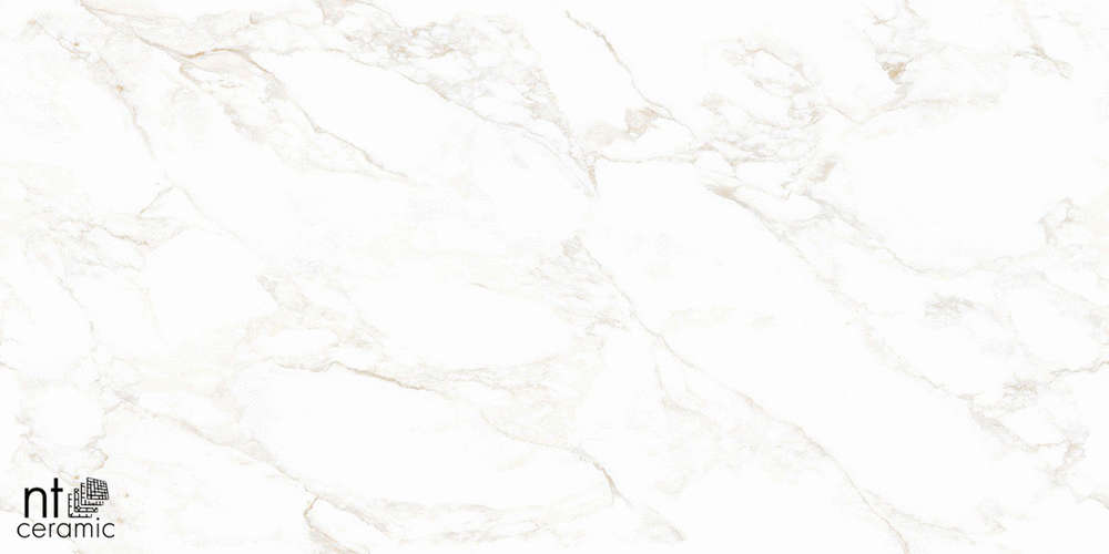 Marble Extra Endless Mat 60x120 (1200x600)