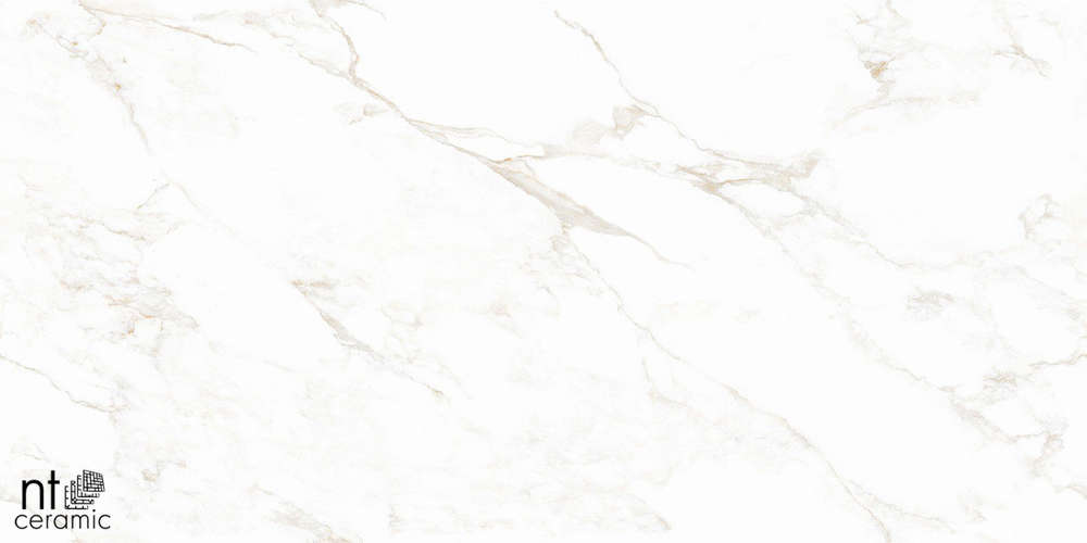 Marble Extra Endless Mat 60x120 (1200x600)