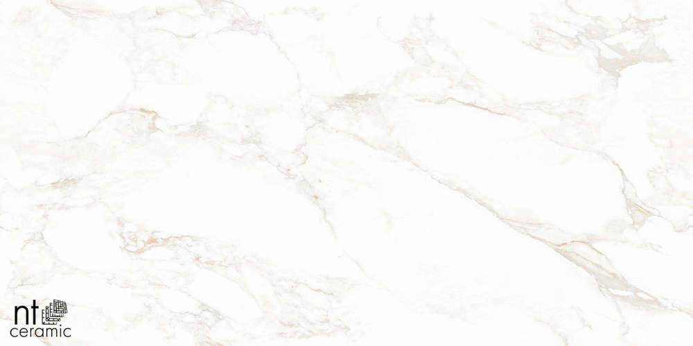 Marble Extra Endless Mat 60x120 (1200x600)