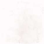 Cottage White 15x15 (150x150)