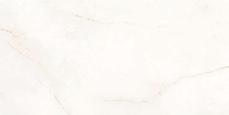 White 60x120 (1200x600)