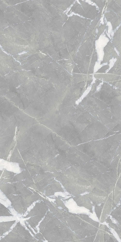 Gray Light Polished 59x119 (590x1190)