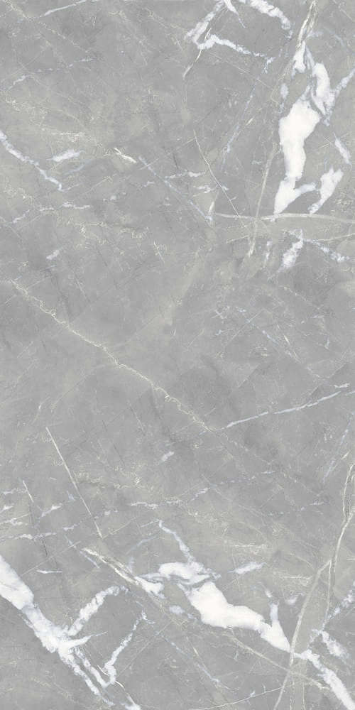 Gray Light Polished 59x119 (590x1190)