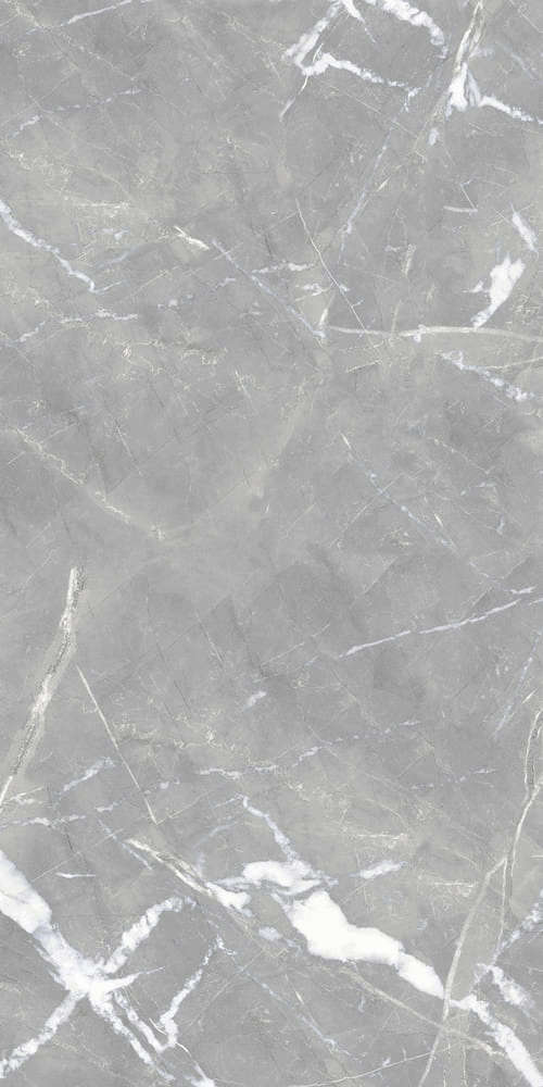 Gray Light Polished 59x119 (590x1190)