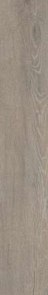 Оушен Керамика 20x120 Sweden Natural Матовый 20x120