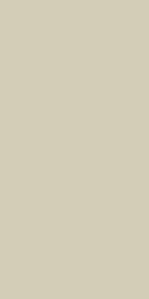 Оушен Керамика 60x120 Exotic Crema Матовый 60х120х4.8