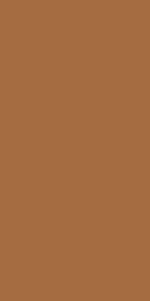 Оушен Керамика 60x120 Exotic Light Brown Матовый 60х120х4.8