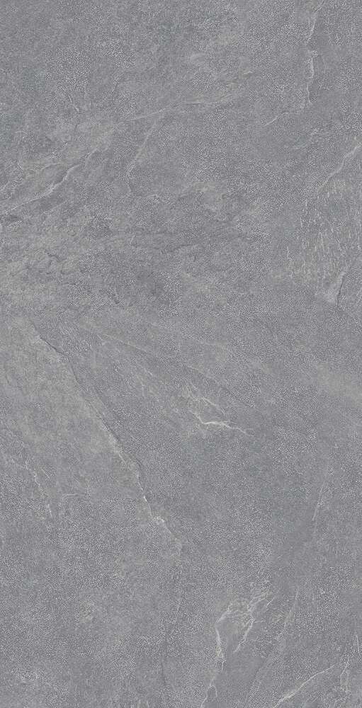 Carbonio Silver Матовый 60х120 (600x1200)