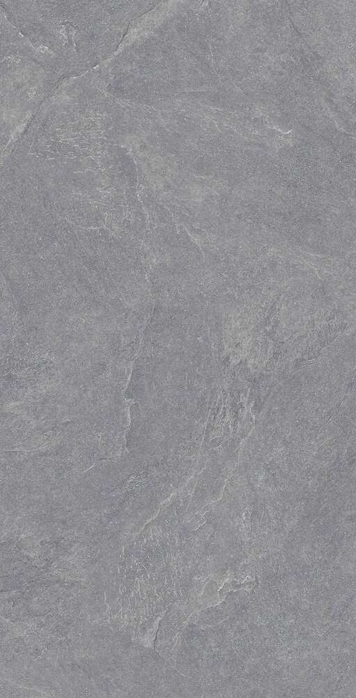 Carbonio Silver Матовый 60х120 (600x1200)