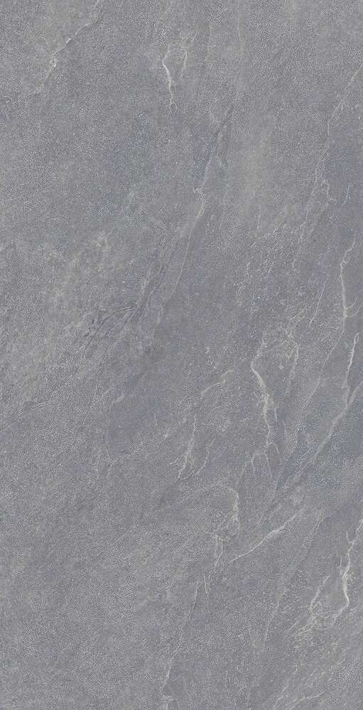 Carbonio Silver Матовый 60х120 (600x1200)