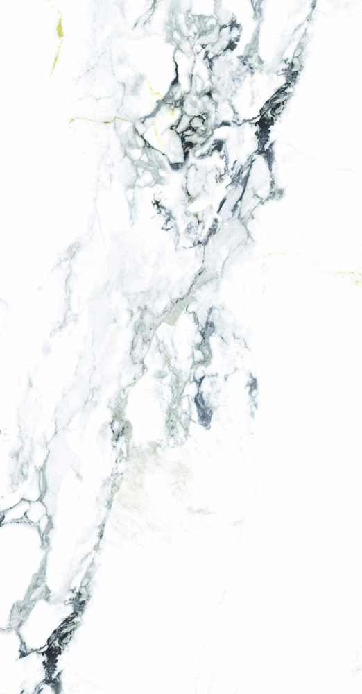 Element Calacutta Матовый 60х120 (600x1200)