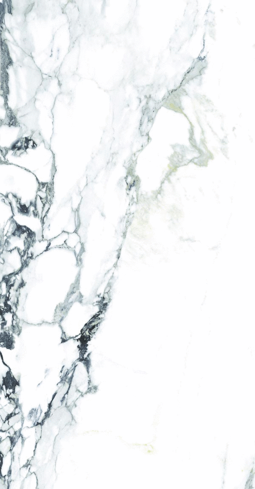 Element Calacutta Матовый 60х120 (600x1200)