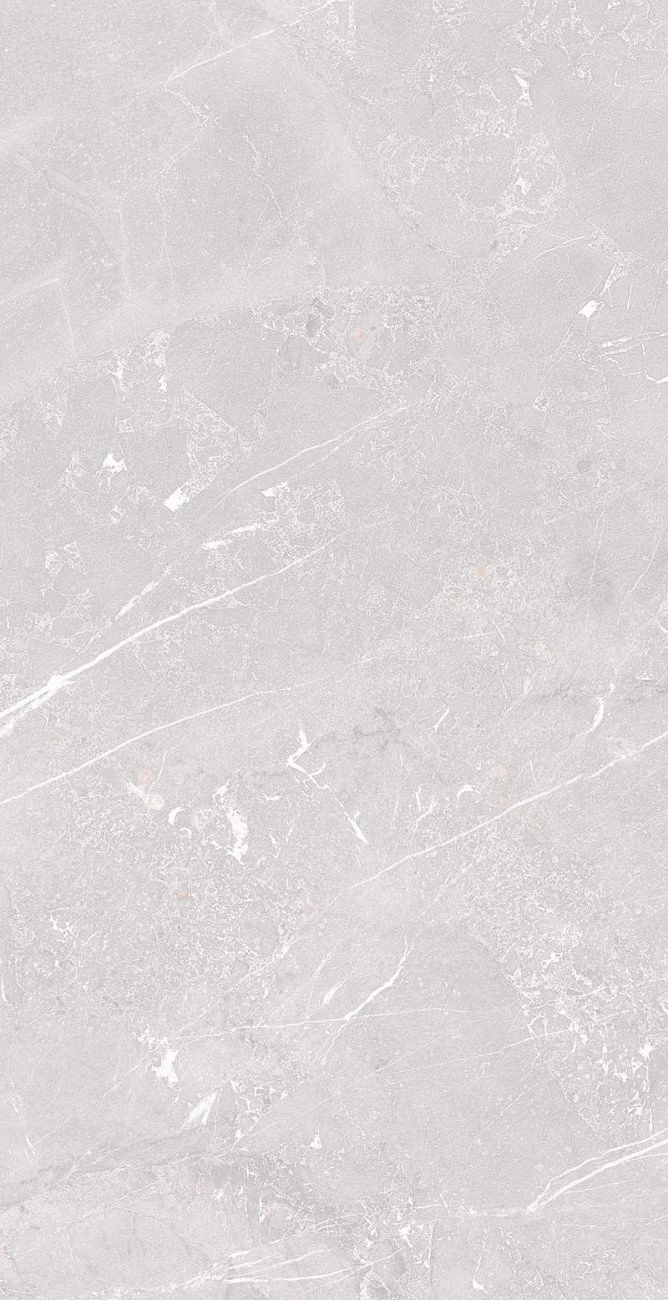 Element Amaranto Grey Matt  80х160 (800x1600)