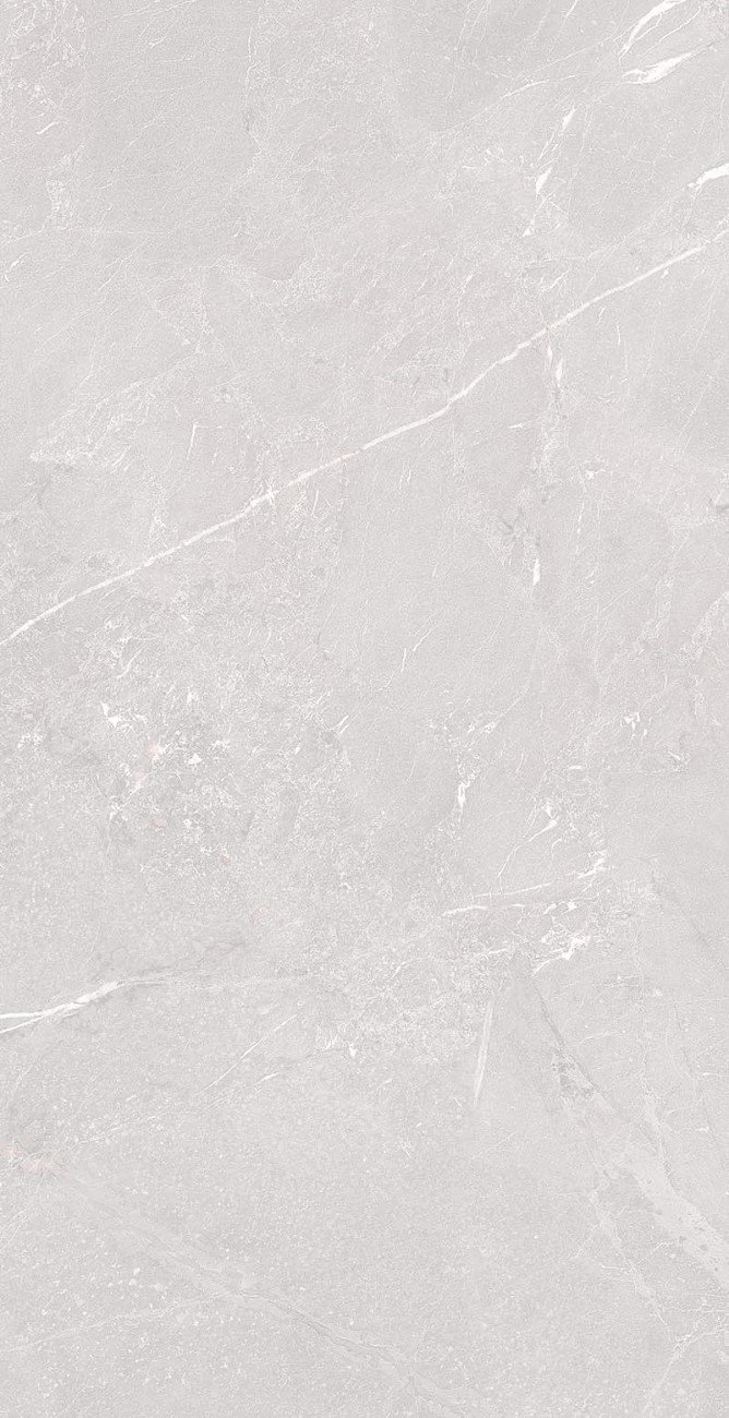 Element Amaranto Grey Matt  80х160 (800x1600)