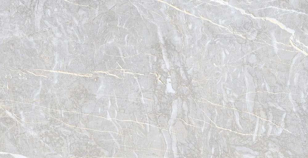 Coco Light Grey (1200x600)