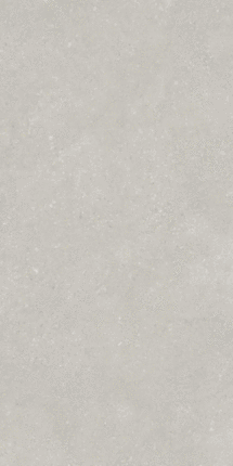 Протайлс Pietra Light Grey Matt 9mm 60x120