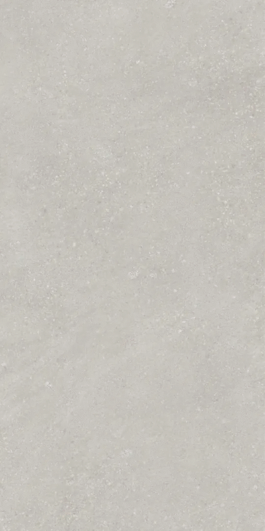 Light Grey Matt 9mm 60x120 (600x1200)