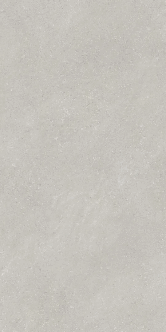 Light Grey Matt 9mm 60x120 (600x1200)