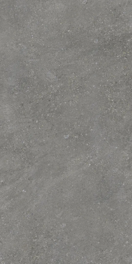 Grey Matt 9mm 60x120 (600x1200)