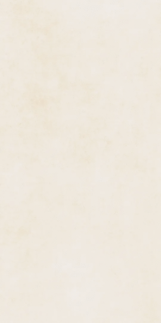 Beige Matt 9mm 60x120 (600x1200)