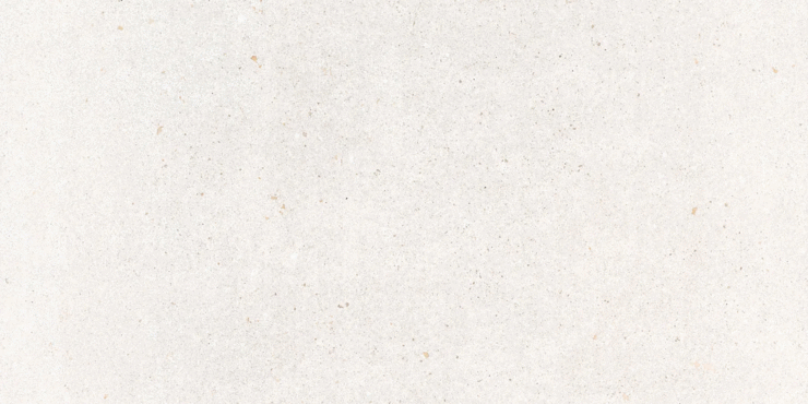 Памеса Core Mix White MT Rect 60x120