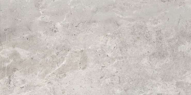 Памеса Erding Silver Decorstone 60x120