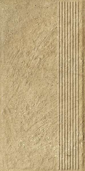 Beige Stopnica Prosta Struktura Mat 30x60 (300x600)