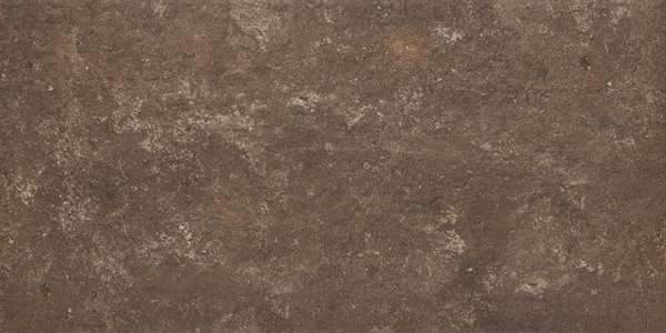 Brown Klinkier 30x60 (600x300)