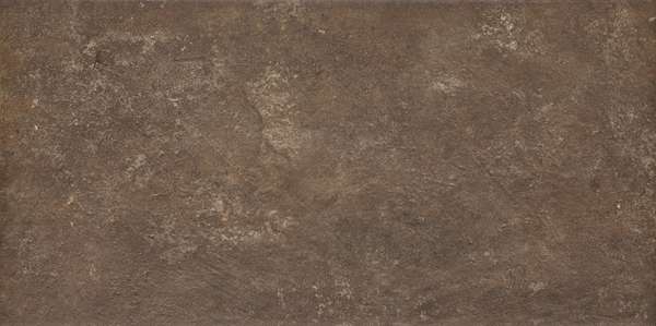 Brown Klinkier 30x60 (600x300)