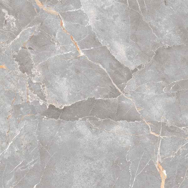 166712 Dark Polished 60x60 (600x600)