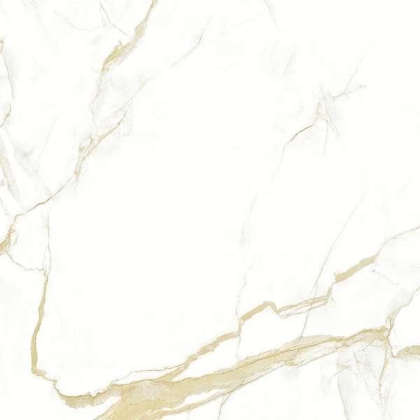 16604 Polished 60x60 (600x600)