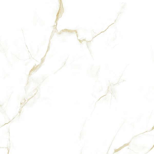 16604 Polished 60x60 (600x600)