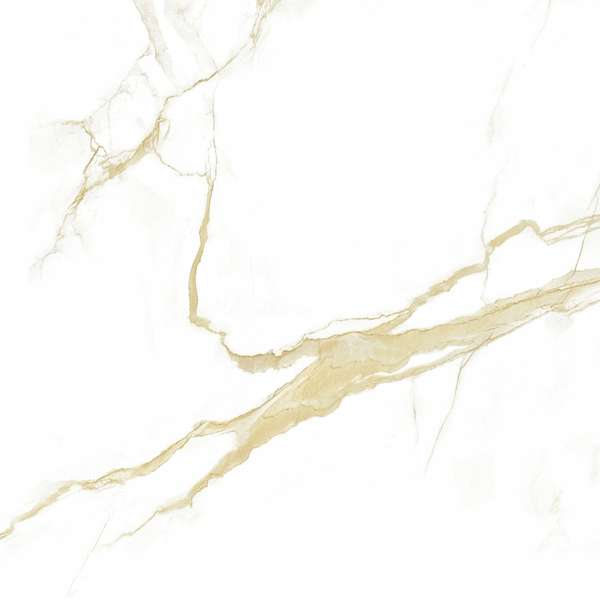 16604 Polished 60x60 (600x600)