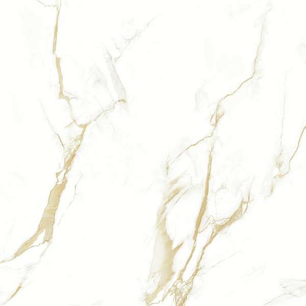 16604 Polished 60x60 (600x600)