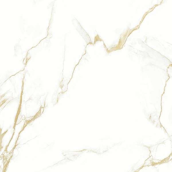 16604 Polished 60x60 (600x600)