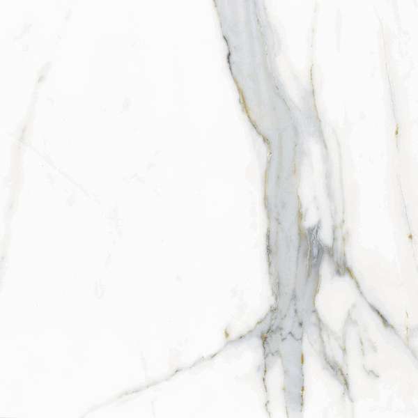 166370 Polished 60x60 (600x600)