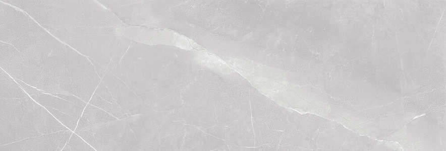 Simple Light Grey (900x300)