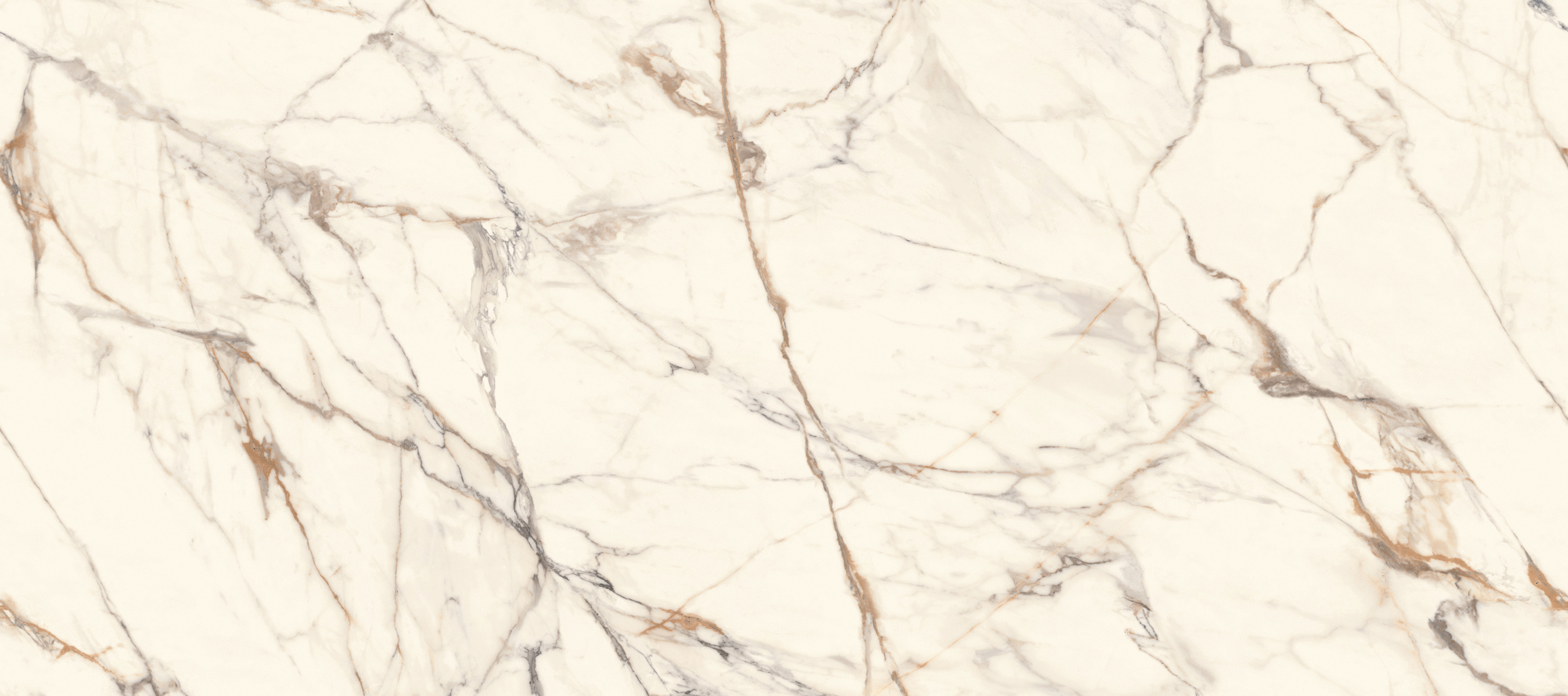 Gold Polished 120x270 (2700x1200)